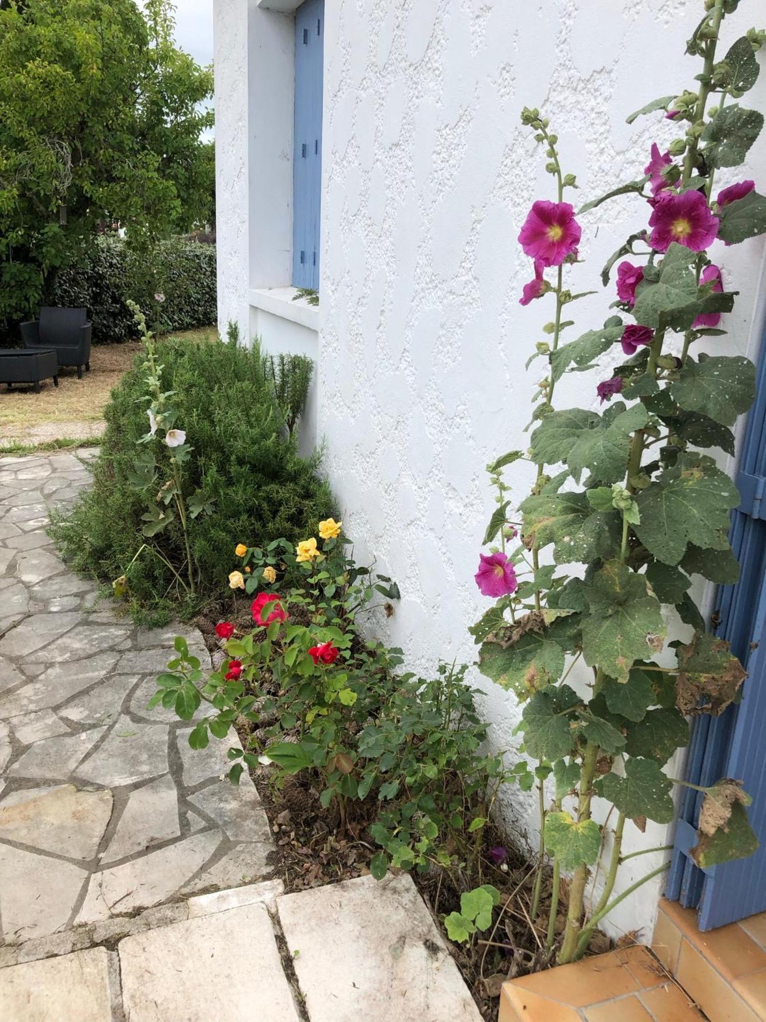 Villa Almigeda Les Mathes Exterior foto